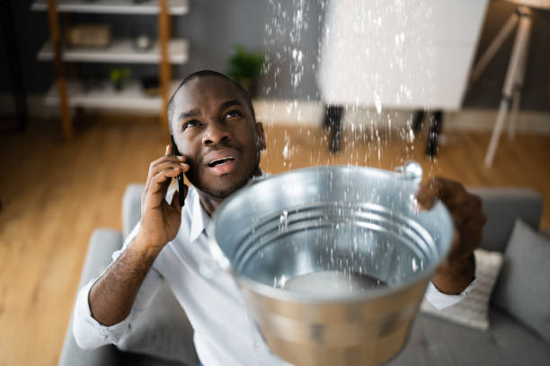 Best Local water damage restoration  in Crocker, WA