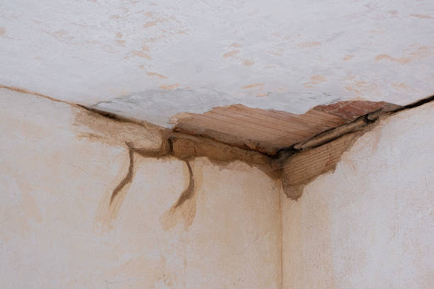 Best Basement water damage restoration  in Crocker, WA