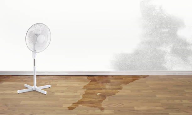 Best 24-hour water damage restoration  in Crocker, WA