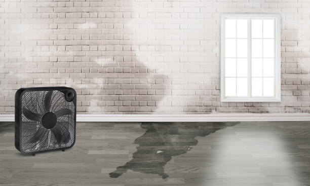 Best Sewage cleanup and water damage restoration  in Crocker, WA