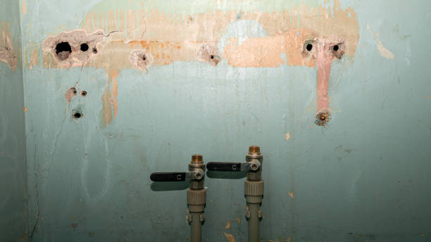 Best Carpet water damage restoration  in Crocker, WA